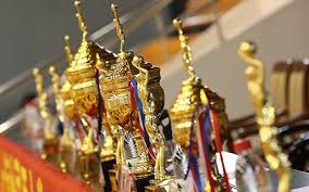 纽约大都会王牌迪格隆在 2018 年以仅 10 胜的表现夺得赛扬奖，打破了传统胜投论