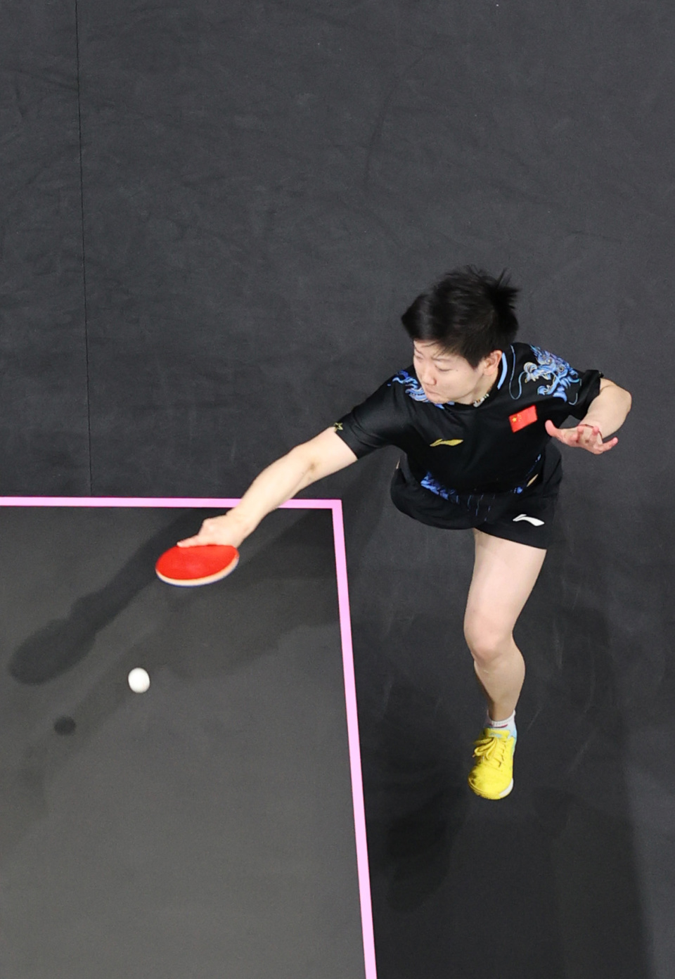 竞技场上素 竞技场上素