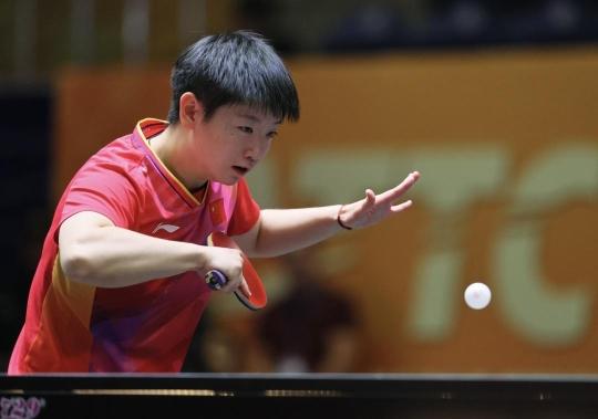 条款的解读 条款的解读